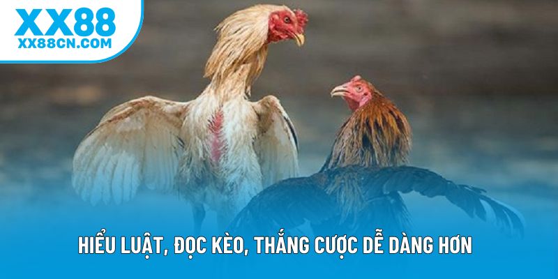 Hiểu luật, đọc kèo, thắng cược dễ dàng hơn
