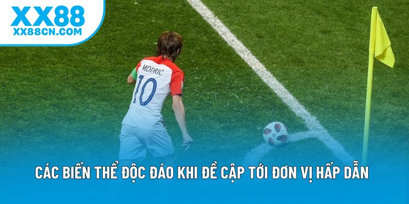 Các biến thể độc đáo khi đề cập tới đơn vị hấp dẫn