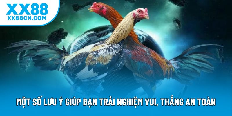 Một số lưu ý giúp bạn trải nghiệm vui, thắng an toàn