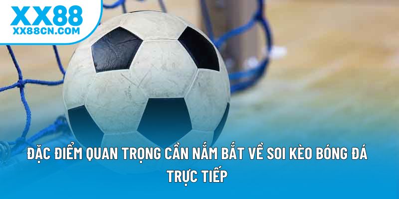 Đặc điểm quan trọng cần nắm bắt về soi kèo bóng đá trực tiếp Đặc điểm quan trọng cần nắm bắt về soi kèo bóng đá trực tiếp
