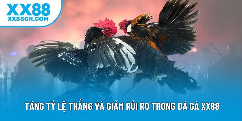 Tăng tỷ lệ thắng và giảm rủi ro trong đá gà XX88 Tăng tỷ lệ thắng và giảm rủi ro trong đá gà XX88