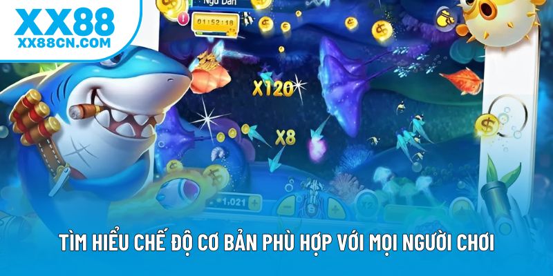 Tìm hiểu chế độ cơ bản phù hợp với mọi người chơi