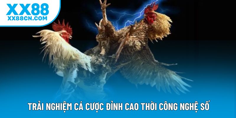 Trải nghiệm cá cược đỉnh cao thời công nghệ số
